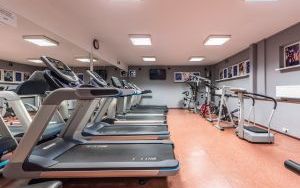 Sala fitness - Hala Sportowa, ul. Szarych Szeregów 15 (5)