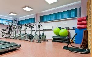 Sala fitness - Hala Sportowa, ul. Szarych Szeregów 15